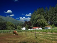 The Pennick Farm